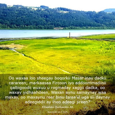 Picture 03 - Baxniintii 14:5 SOM - Oo waxaa loo sheegay boqorkii Masar inay dadkii - Bible Verse Picture