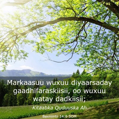 Picture 03 - Baxniintii 14:6 SOM - Markaasuu wuxuu diyaarsaday gaadhifaraskiisii, oo - Bible Verse Picture