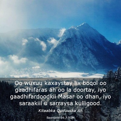 Picture 03 - Baxniintii 14:7 SOM - Oo wuxuu kaxaystay lix boqol oo gaadhifaras ah oo - Bible Verse Picture