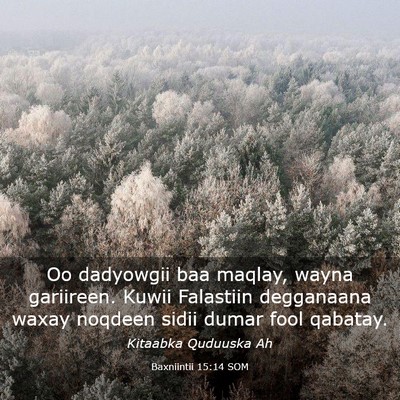 Picture 03 - Baxniintii 15:14 SOM - Oo dadyowgii baa maqlay, wayna gariireen. Kuwii - Bible Verse Picture