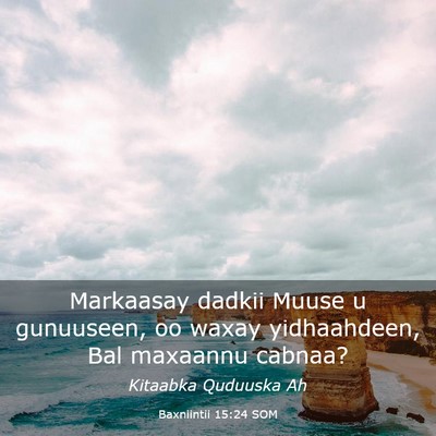 Picture 03 - Baxniintii 15:24 SOM - Markaasay dadkii Muuse u gunuuseen, oo waxay - Bible Verse Picture