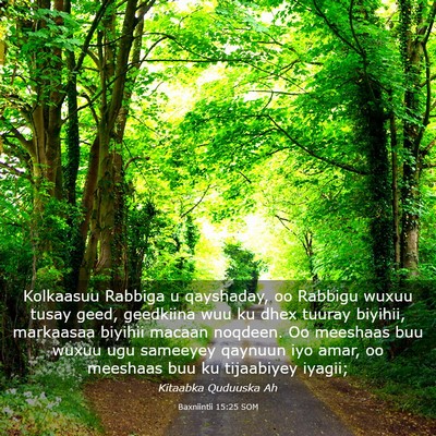Picture 03 - Baxniintii 15:25 SOM - Kolkaasuu Rabbiga u qayshaday, oo Rabbigu wuxuu - Bible Verse Picture