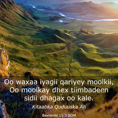 Picture 03 - Baxniintii 15:5 SOM - Oo waxaa iyagii qariyey moolkii, Oo moolkay dhex - Bible Verse Picture