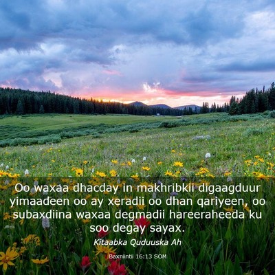 Picture 03 - Baxniintii 16:13 SOM - Oo waxaa dhacday in makhribkii digaagduur - Bible Verse Picture