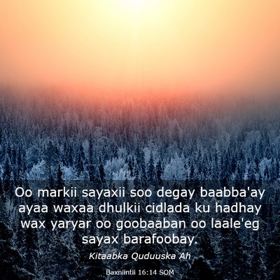 Picture 03 - Baxniintii 16:14 SOM - Oo markii sayaxii soo degay baabba'ay ayaa waxaa - Bible Verse Picture