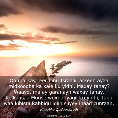 Picture 03 - Baxniintii 16:15 SOM - Oo markay reer binu Israa'iil arkeen ayaa - Bible Verse Picture