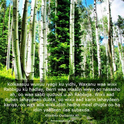 Picture 03 - Baxniintii 16:23 SOM - Kolkaasuu wuxuu iyagii ku yidhi, Waxanu waa wixii - Bible Verse Picture