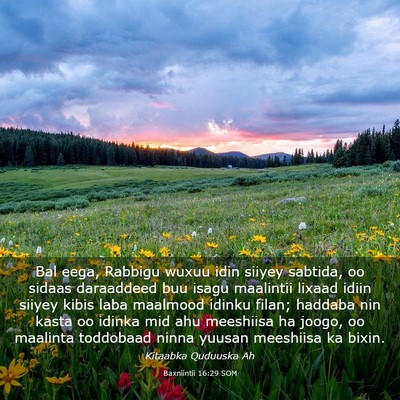 Picture 03 - Baxniintii 16:29 SOM - Bal eega, Rabbigu wuxuu idin siiyey sabtida, oo - Bible Verse Picture