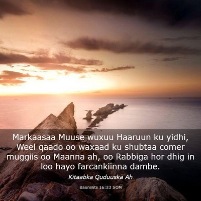 Picture 03 - Baxniintii 16:33 SOM - Markaasaa Muuse wuxuu Haaruun ku yidhi, Weel - Bible Verse Picture