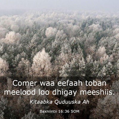 Picture 03 - Baxniintii 16:36 SOM - Comer waa eefaah toban meelood loo dhigay - Bible Verse Picture