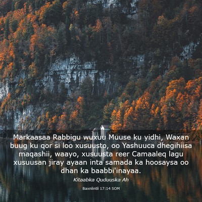 Picture 03 - Baxniintii 17:14 SOM - Markaasaa Rabbigu wuxuu Muuse ku yidhi, Waxan - Bible Verse Picture