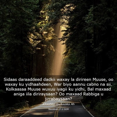 Picture 03 - Baxniintii 17:2 SOM - Sidaas daraaddeed dadkii waxay la dirireen Muuse, - Bible Verse Picture