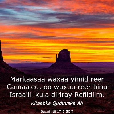 Picture 03 - Baxniintii 17:8 SOM - Markaasaa waxaa yimid reer Camaaleq, oo wuxuu - Bible Verse Picture