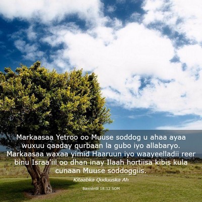 Picture 03 - Baxniintii 18:12 SOM - Markaasaa Yetroo oo Muuse soddog u ahaa ayaa - Bible Verse Picture