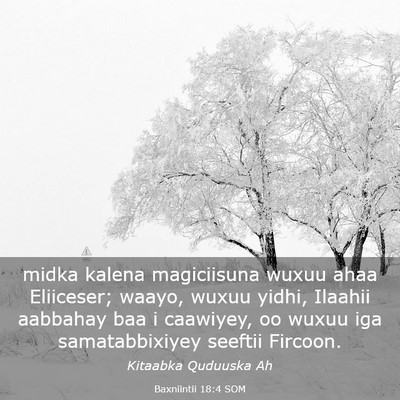 Picture 03 - Baxniintii 18:4 SOM - midka kalena magiciisuna wuxuu ahaa Eliiceser; - Bible Verse Picture