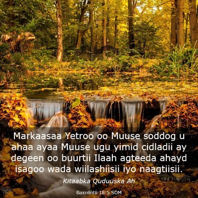 Picture 03 - Baxniintii 18:5 SOM - Markaasaa Yetroo oo Muuse soddog u ahaa ayaa - Bible Verse Picture