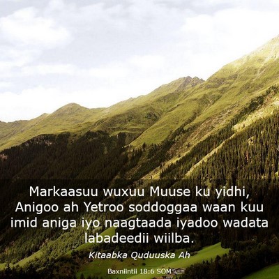 Picture 03 - Baxniintii 18:6 SOM - Markaasuu wuxuu Muuse ku yidhi, Anigoo ah Yetroo - Bible Verse Picture