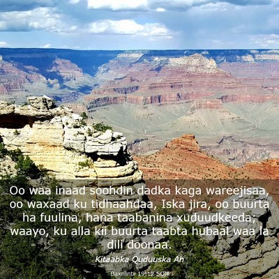 Picture 03 - Baxniintii 19:12 SOM - Oo waa inaad soohdin dadka kaga wareejisaa, oo - Bible Verse Picture