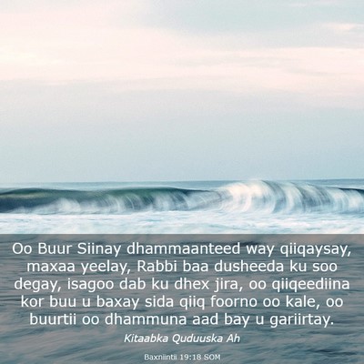Picture 03 - Baxniintii 19:18 SOM - Oo Buur Siinay dhammaanteed way qiiqaysay, maxaa - Bible Verse Picture