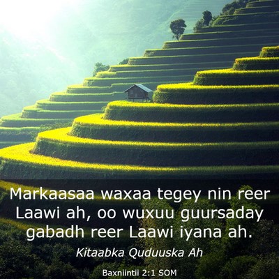 Picture 03 - Baxniintii 2:1 SOM - Markaasaa waxaa tegey nin reer Laawi ah, oo wuxuu - Bible Verse Picture