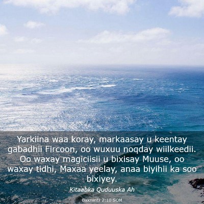 Picture 03 - Baxniintii 2:10 SOM - Yarkiina waa koray, markaasay u keentay gabadhii - Bible Verse Picture