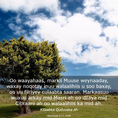 Picture 03 - Baxniintii 2:11 SOM - Oo waayahaas, markii Muuse weynaaday, waxay - Bible Verse Picture