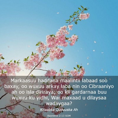 Picture 03 - Baxniintii 2:13 SOM - Markaasuu haddana maalintii labaad soo baxay, oo - Bible Verse Picture