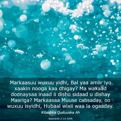 Picture 03 - Baxniintii 2:14 SOM - Markaasuu wuxuu yidhi, Bal yaa amiir iyo xaakin - Bible Verse Picture
