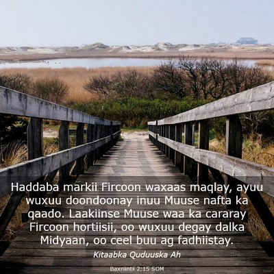 Picture 03 - Baxniintii 2:15 SOM - Haddaba markii Fircoon waxaas maqlay, ayuu wuxuu - Bible Verse Picture