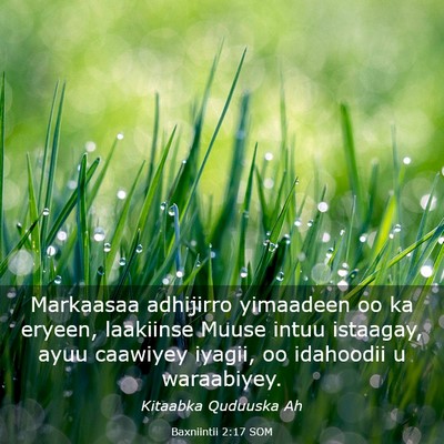 Picture 03 - Baxniintii 2:17 SOM - Markaasaa adhijirro yimaadeen oo ka eryeen, - Bible Verse Picture
