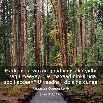 Picture 03 - Baxniintii 2:20 SOM - Markaasuu wuxuu gabdhihiisii ku yidhi, Isagii - Bible Verse Picture