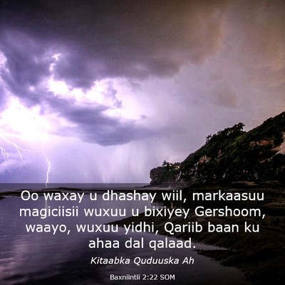 Picture 03 - Baxniintii 2:22 SOM - Oo waxay u dhashay wiil, markaasuu magiciisii - Bible Verse Picture