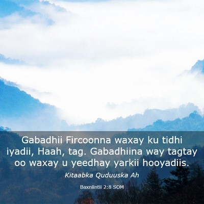 Picture 03 - Baxniintii 2:8 SOM - Gabadhii Fircoonna waxay ku tidhi iyadii, Haah, - Bible Verse Picture
