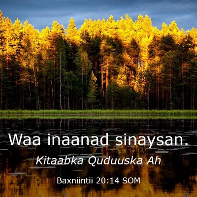 Picture 03 - Baxniintii 20:14 SOM - Waa inaanad - Bible Verse Picture