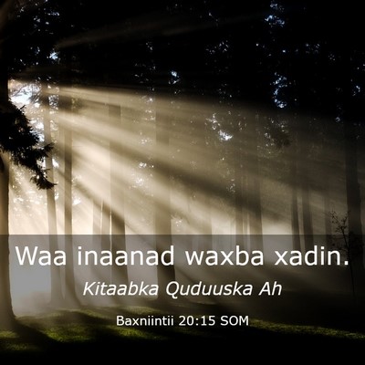 Picture 03 - Baxniintii 20:15 SOM - Waa inaanad waxba - Bible Verse Picture