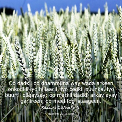 Picture 03 - Baxniintii 20:18 SOM - Oo dadkii oo dhammuna way wada arkeen onkodkii - Bible Verse Picture