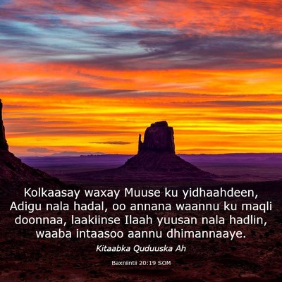 Picture 03 - Baxniintii 20:19 SOM - Kolkaasay waxay Muuse ku yidhaahdeen, Adigu nala - Bible Verse Picture