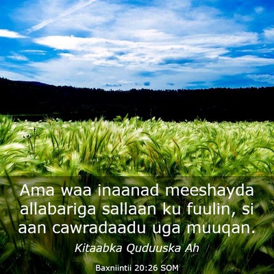 Picture 03 - Baxniintii 20:26 SOM - Ama waa inaanad meeshayda allabariga sallaan ku - Bible Verse Picture