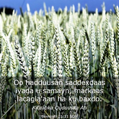 Picture 03 - Baxniintii 21:11 SOM - Oo hadduusan saddexdaas iyada u samayn, markaas - Bible Verse Picture