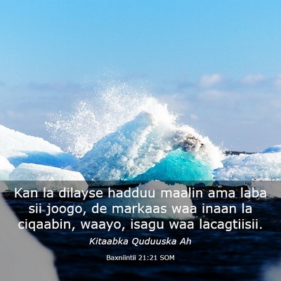 Picture 03 - Baxniintii 21:21 SOM - Kan la dilayse hadduu maalin ama laba sii joogo, - Bible Verse Picture