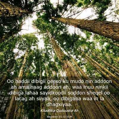 Picture 03 - Baxniintii 21:32 SOM - Oo haddii dibigii geeso ku mudo nin addoon ah ama - Bible Verse Picture