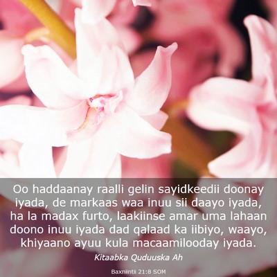 Picture 03 - Baxniintii 21:8 SOM - Oo haddaanay raalli gelin sayidkeedii doonay - Bible Verse Picture
