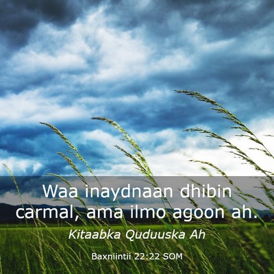Picture 03 - Baxniintii 22:22 SOM - Waa inaydnaan dhibin carmal, ama ilmo agoon - Bible Verse Picture
