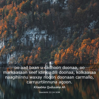 Picture 03 - Baxniintii 22:24 SOM - oo aad baan u cadhoon doonaa, oo markaasaan seef - Bible Verse Picture