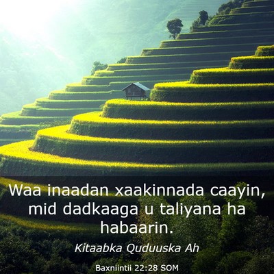 Picture 03 - Baxniintii 22:28 SOM - Waa inaadan xaakinnada caayin, mid dadkaaga u - Bible Verse Picture