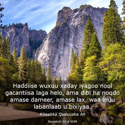 Picture 03 - Baxniintii 22:4 SOM - Haddiise wuxuu xaday iyagoo nool gacantiisa laga - Bible Verse Picture