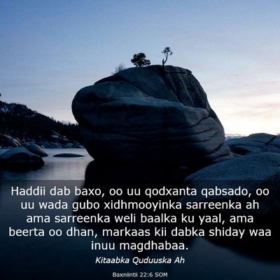 Picture 03 - Baxniintii 22:6 SOM - Haddii dab baxo, oo uu qodxanta qabsado, oo uu - Bible Verse Picture