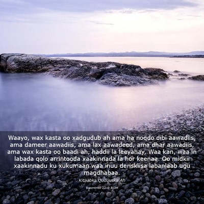 Picture 03 - Baxniintii 22:9 SOM - Waayo, wax kasta oo xadgudub ah ama ha noqdo dibi - Bible Verse Picture