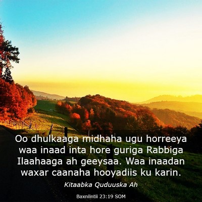Picture 03 - Baxniintii 23:19 SOM - Oo dhulkaaga midhaha ugu horreeya waa inaad inta - Bible Verse Picture