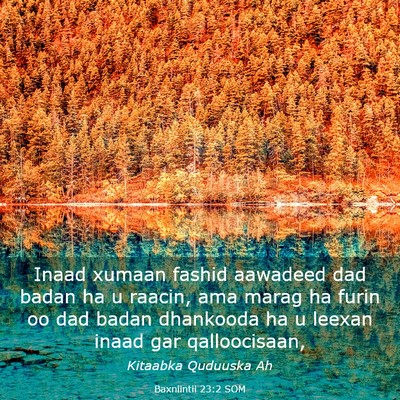 Picture 03 - Baxniintii 23:2 SOM - Inaad xumaan fashid aawadeed dad badan ha u - Bible Verse Picture